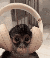 Headphones GIF by mjm1724