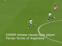 World Cup Argentina GIF