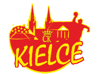 Handball Pilka Reczna Sticker by VIVE KIELCE