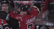 Ice Hockey GIF by NHL