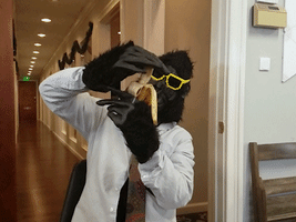 GIF by XRay.Tech