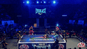 GIF by Lucha Libre AAA