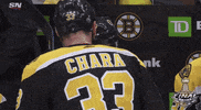 ice hockey sport GIF by NHL