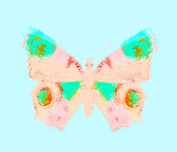 animation butterfly GIF by weinventyou