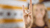 Loyola Chicago GIF by LoyolaRamblers