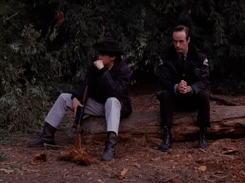 Season 2 Episode 22 GIF by Twin Peaks on Showtime