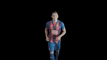 Vamos Come On GIF by SD Eibar