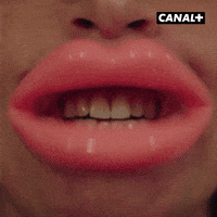Comedy Lol GIF by CANAL+