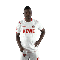 Fc Cologne Bundesliga Sticker by 1. FC Köln