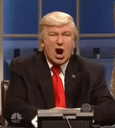 Stank Face Alec Baldwin GIF by Saturday Night Live