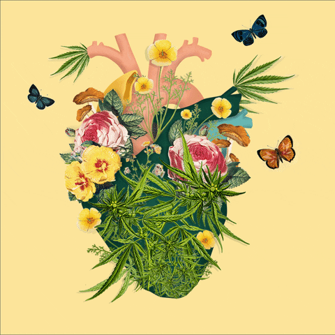 flowkanaCa giphyupload GIF