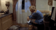 GIF by Giphy QA