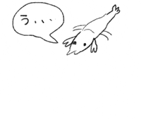 Surprise Shrimp GIF