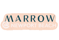 Newport Marrowfine Sticker by Marrow Fine Jewelry