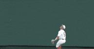 Super Regional Baseball GIF by NCAA Championships