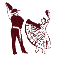 Carnaval Criollo Sticker by SanMiguel