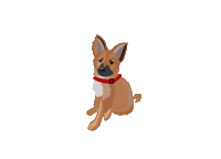 Dog Wink Sticker