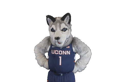 i don't know what Sticker by UConn Huskies