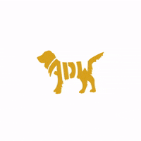 Dog Training GIF by Anglian Dog Works