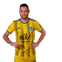 Football Soccer Sticker by Nike liga