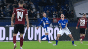 Football Soccer GIF by FC Schalke 04