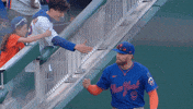 Brandon Nimmo Baseball GIF by New York Mets