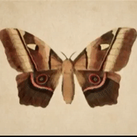 animation art GIF by The Videobook