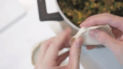 chinese food zhong guo cai GIF