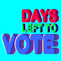 Vote Now Election 2020 GIF by INTO ACTION