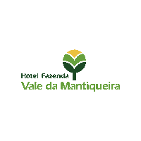 valedamantiqueira  Sticker
