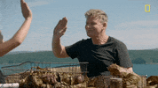 Gordon Ramsay GIF by National Geographic Channel