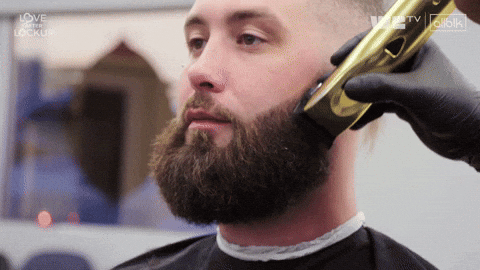 Beard Groom GIF by We TV