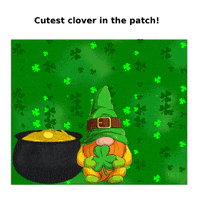 Happy St Patricks Day GIF
