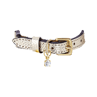 Cheshireandwain cat cat collar cheshire wain cheshire and wain Sticker