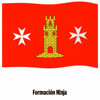 Flag Spain GIF by Formación Ninja
