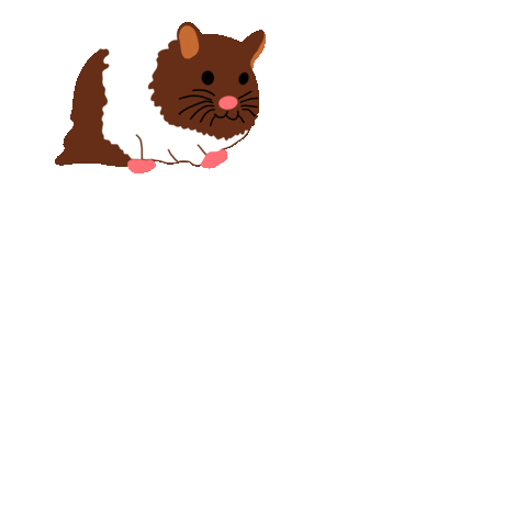 Guinea Pig Dancing Sticker