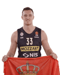 Kkpartizan Sticker by sportmts