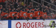 Celebrate Ice Hockey GIF by NHL