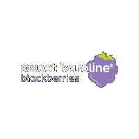 Sk Berries Sticker by Hippie Organics