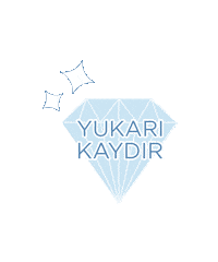 AltinbasJewelry valentines day diamond ask sevgi Sticker