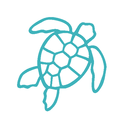 Turtle Sps Sticker