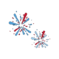 Fireworks Liberty Sticker by marie birdie sport