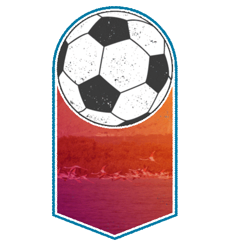 visitrasalkhaimahraktda giphyupload football passion uae Sticker