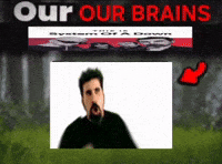 Our Brains Are System Of A Down GIF