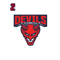 ice hockey Sticker by devilsulmneuulm