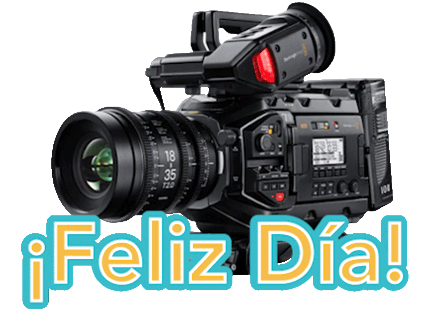 Happy Day Feliz Dia Sticker by intektv