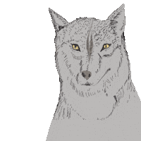 Wolf Sticker by Susann Stoebe