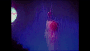 molly rankin GIF by Polyvinyl Records
