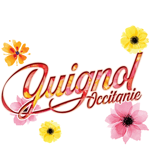 Guignol_occitanie giphyupload guignol guignol occitanie guignoloccitanie Sticker