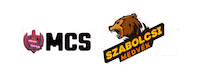 Esport Sticker by Megyék Csatája